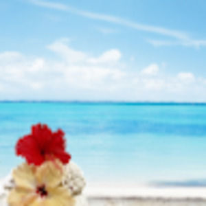 Meet your Posher, Camryn